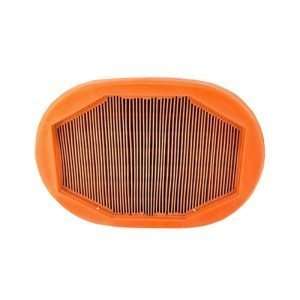 LS-Inner-Air-Filter-40192188-800x800